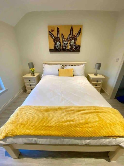 Modern Family Home Castleisland Esterno foto