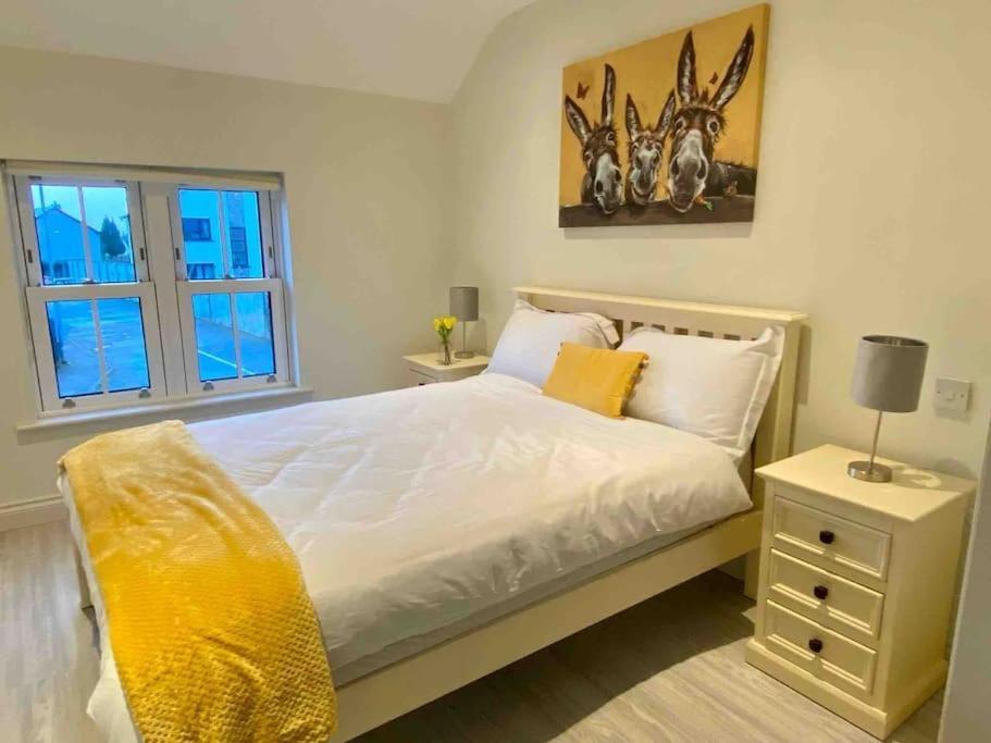 Modern Family Home Castleisland Esterno foto